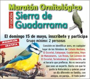 Сьерра-де-Гуадаррама Орнитологический марафон   В этом году будет уже восьмое издание, которое предоставит возможность всем желающим принять участие в уникальном бесплатном мероприятии в непосредственном контакте с природой, которая окружает города региона